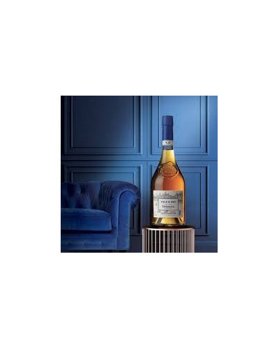 Cognac Delamain XO Pale and Dry