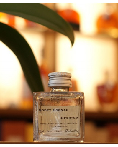 Cognac miniature Antarctica Godet
