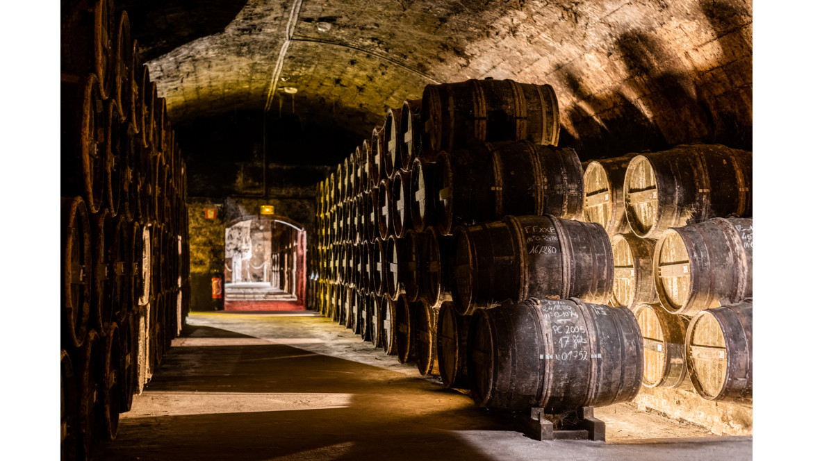 Let's discover the "Château de Cognac" !